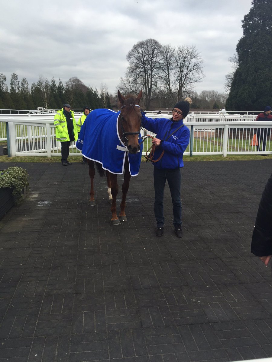 charmaine070784's tweet photo. LightsCameraAction for @GayKelleway wins the listed opener @LingfieldPark #Fasttrackqualifier 🐎🐎👍🍸🍾🍾 https://t.co/Dq3aRW3aEJ