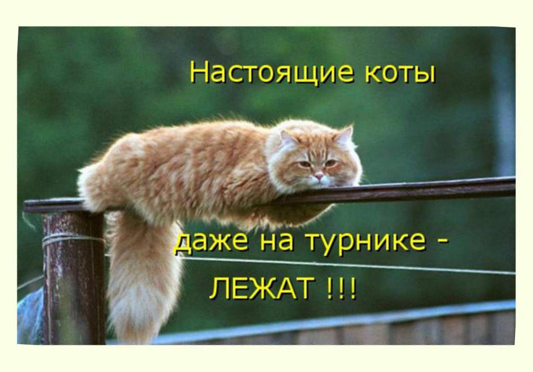 Картинки, картинки прикольные с надписями балдею