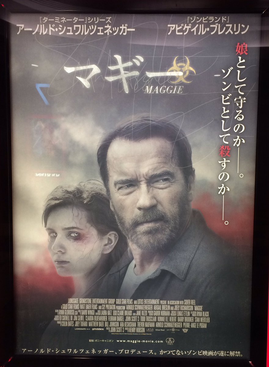 映画三昧 映画のミカタ 子供を想う父の愛 マギー シュワちゃんがゾンビ化する娘を守る為に苦悩する人間ドラマ ディバイナー 戦禍に光を求めて ラッセル クロウ初監督作品 第一次大戦で行方不明になった3人の息子を探す父の底知れぬ喪失感と愛情