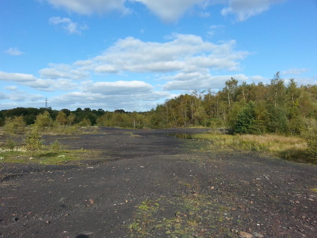 Colliery Spoil Biodiversity Initiative tweet media