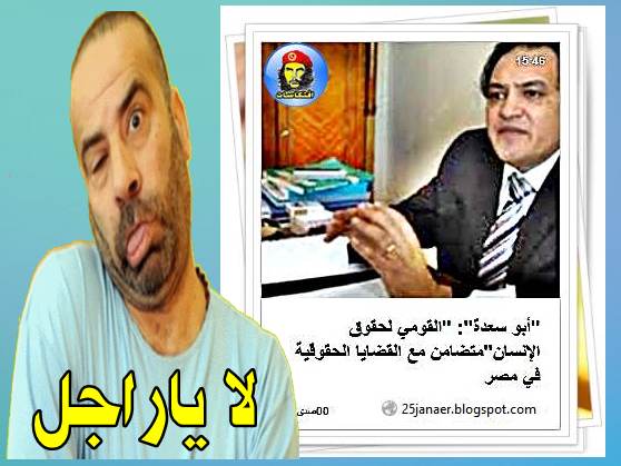 "أبو سعدة": "القومي لحقوق الإنسان"متضامن مع القضايا الحقوقية في مصر 