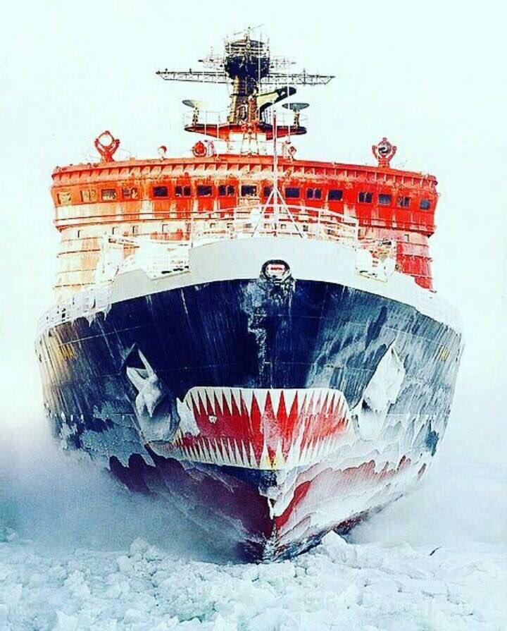 CcOnmdgW8AAzpVL.jpg:large