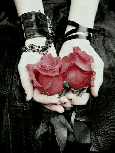 ♡ ريماس علي ♡ (@dn1118093) on Twitter photo 