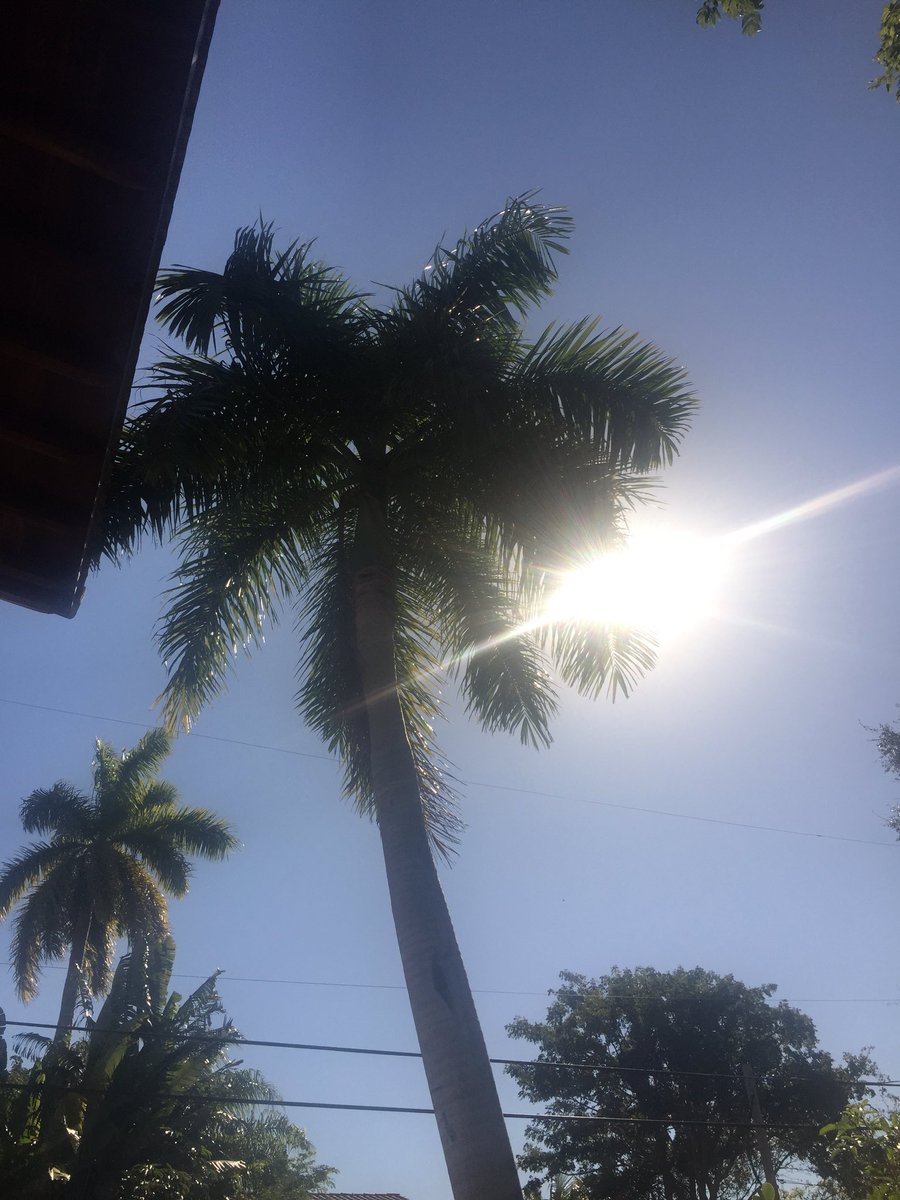 Jessehmarks's tweet photo. Picture perfect Morning in Coconut Grove. ☀️🌴 https://t.co/wguNM2uCJ1