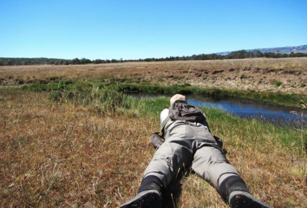 Why You Should Keep a Low Profile While #FlyFishing
bit.ly/212hjx5
via <a href="/fieldandstream/">Field & Stream</a>