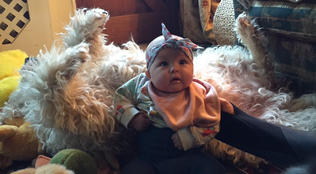 loustar76's tweet photo. When Nancy met Lola ๐๐ถ๐X #myheartbeat #nancyjune #chufty https://t.co/16BTtBruCp