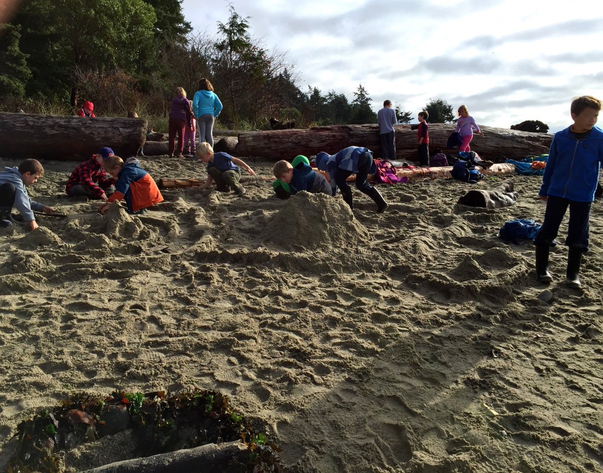 NESTrussell's tweet photo. Play: #collaboration #community #playtoknow #natureplay #NEST https://t.co/WFAlkqw0n1