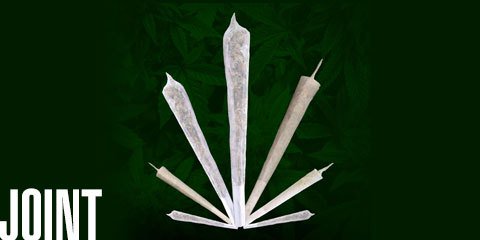 LegalizeWeeedUK's tweet photo. https://t.co/TZ38UuEJbd