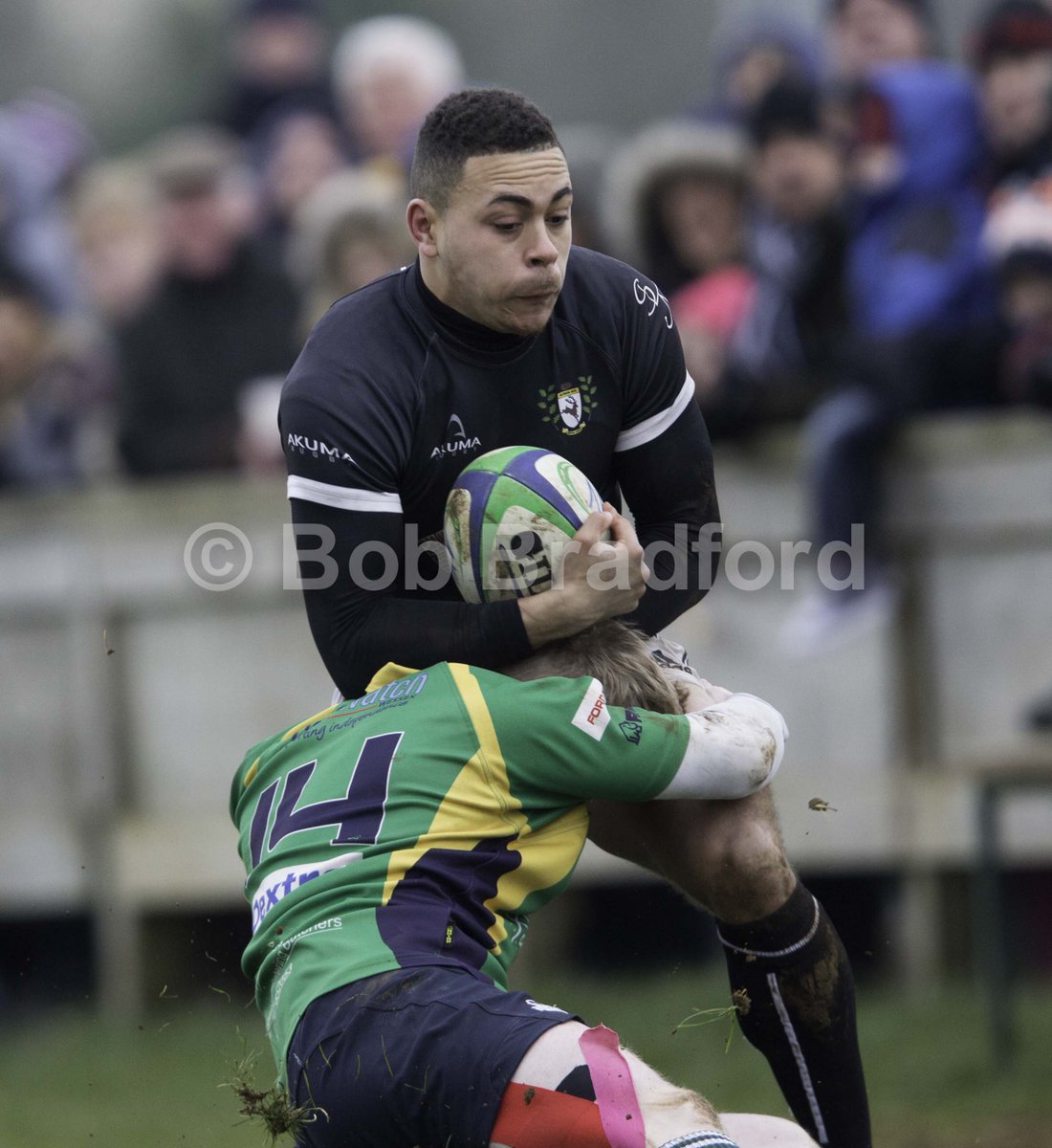 Bob Bradford Images tweet media