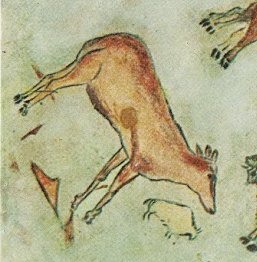 Lightcontent's tweet image. This cave painting (reproduction) in Altamira, Spain... how can something so old look so fresh?