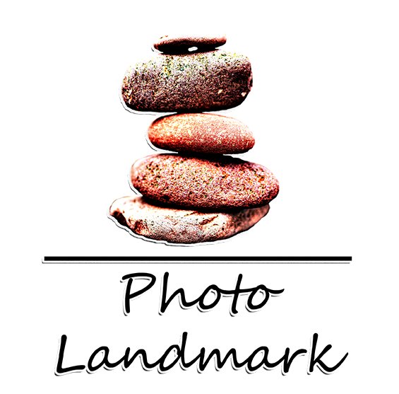 Living Creatively tweet media