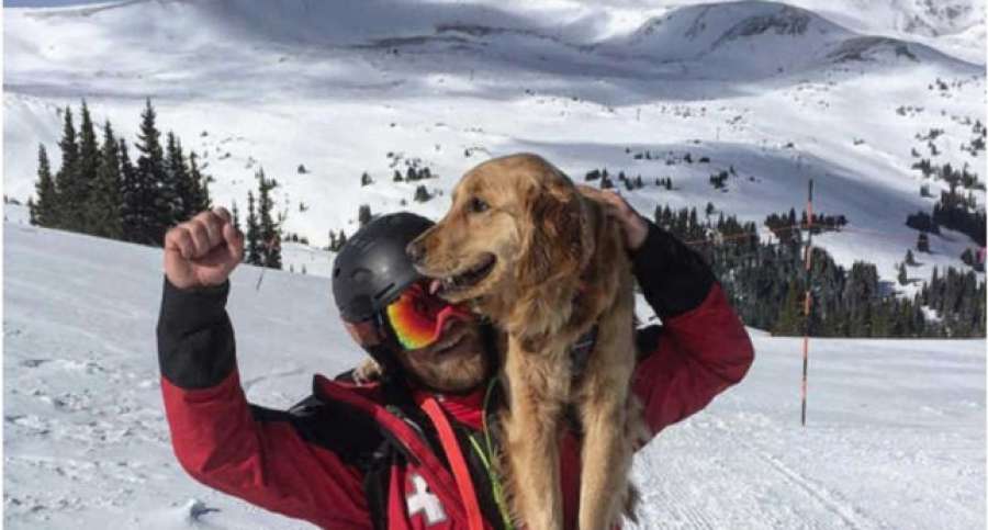 antena3com's tweet photo. Así es Mason, el perro que rescata a personas que se quedan atrapadas en la nieve https://t.co/tdw7VBbn4g https://t.co/YZtjZyqFBF