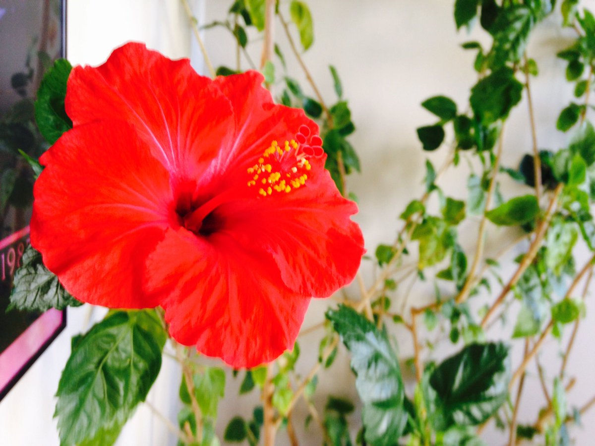 Keith Kratochvil tweet media