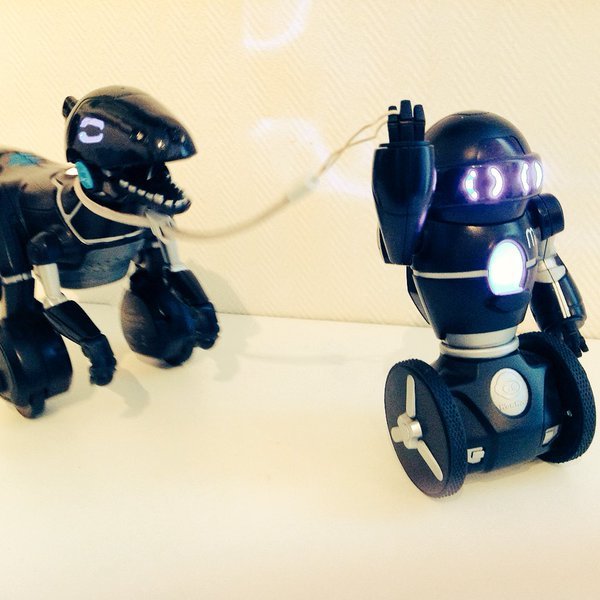 MeetCHiPK9's tweet image. Walking robot dinosaurs like Miposaur looks tough! Poor MiP. Maybe you should take CHiP for a walk instead? #CHiPK9