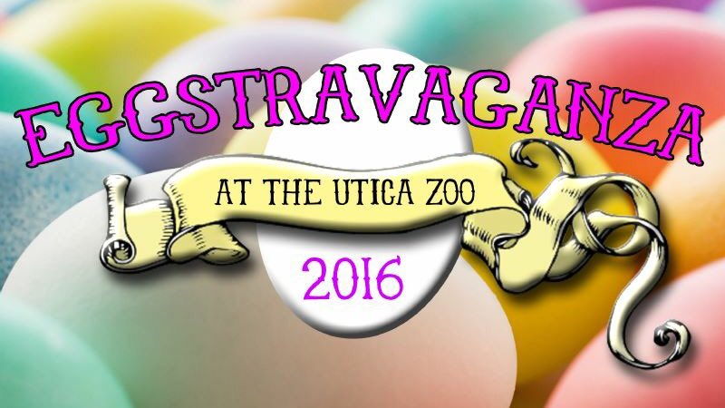 uticazoo tweet media