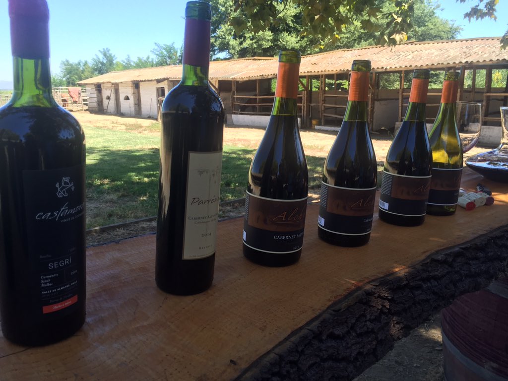 En viña Alcemyst Parte de la ruta #Cachapoal365 <a href="/AChilepoh/">AChilepoh</a> @denomades @rutab_original #SabadoDeGanarSeguidores #wine