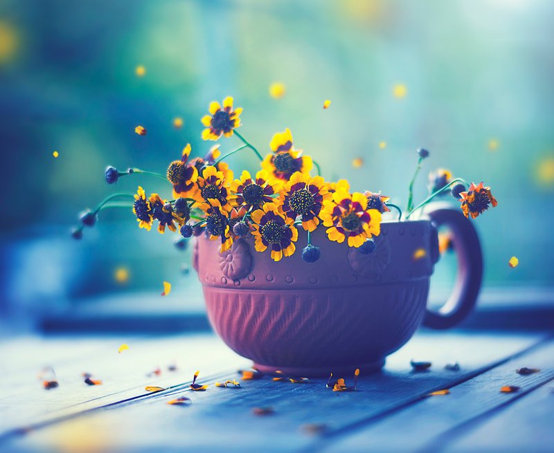 DeviantArt's tweet image. "Happy Everyday" captures contrast between yellows and blues in this still life photograph. bit.ly/1mTqDpE