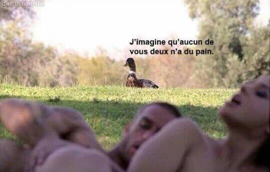 _StudioDanielle's tweet photo. Cette image a beaucoup fait rire Danielle https://t.co/ltnqtS2eK2