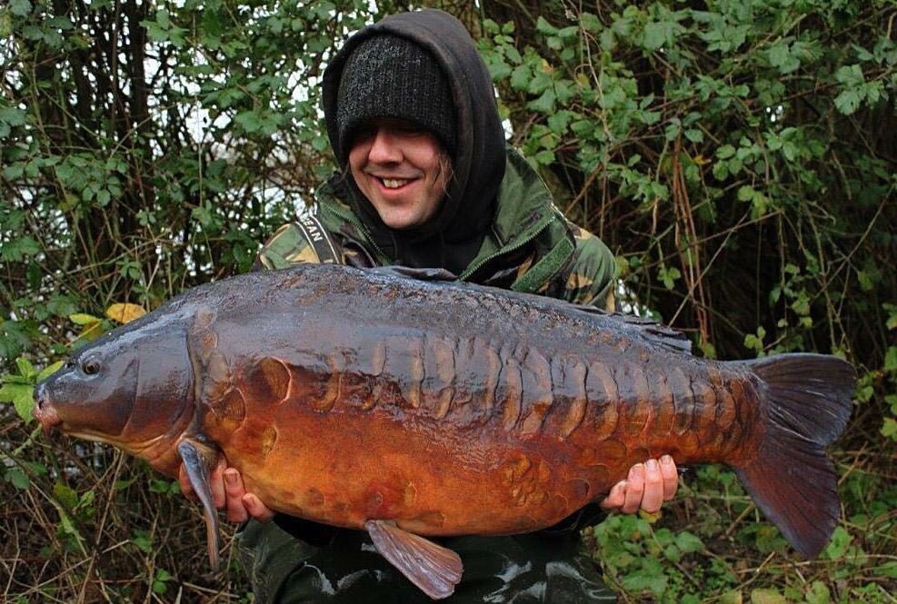StickyOfficial's tweet photo. Dave Hodgson with an absolutely stunning looking 33lb mirror from last week. #Manilla https://t.co/L47TlhHtuG