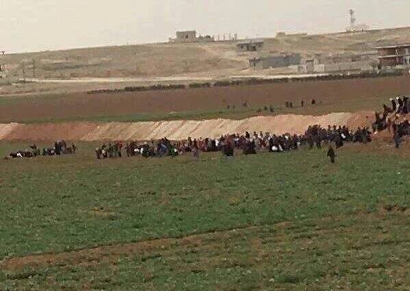 HussamEesa's tweet photo. #Raqqa Photo for the people of #EynArros south of #TalAbayd start to flee the area Due the Clashes between #IS & YPG https://t.co/sTIFl0fFej