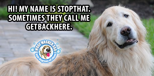 Sometimes it's even DONT-EAT-THAT! ;)  #dogmeme #mynameis