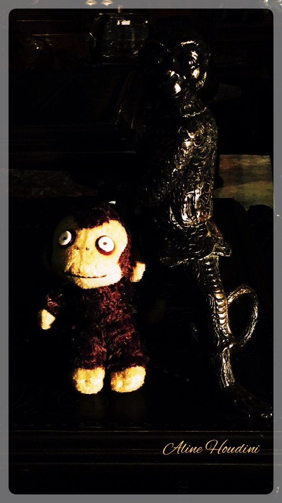 🐒monkey business - what's under that skirt? 🙈🙉🙊 with #alinehoudini 🐵