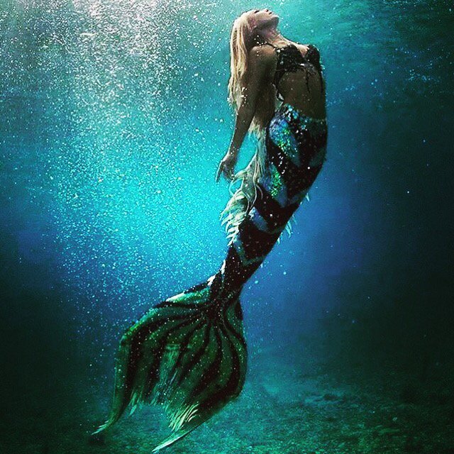 xcitelifer's tweet photo. Swim like a fish! Mermaid schools are under our #unique #Xperiences on #Xcitelife!  https://t.co/hGCk1DOfO3 https://t.co/SutqREKbDW