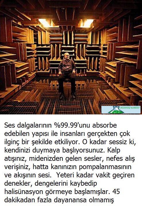 Dünyanın en sessiz yeri, Orfield Laboratuarlarındaki yankı odası