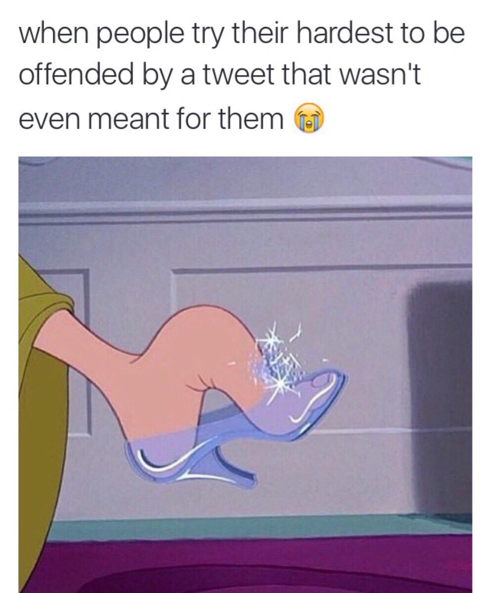 FeministShit's tweet image. Feminists in a nutshell