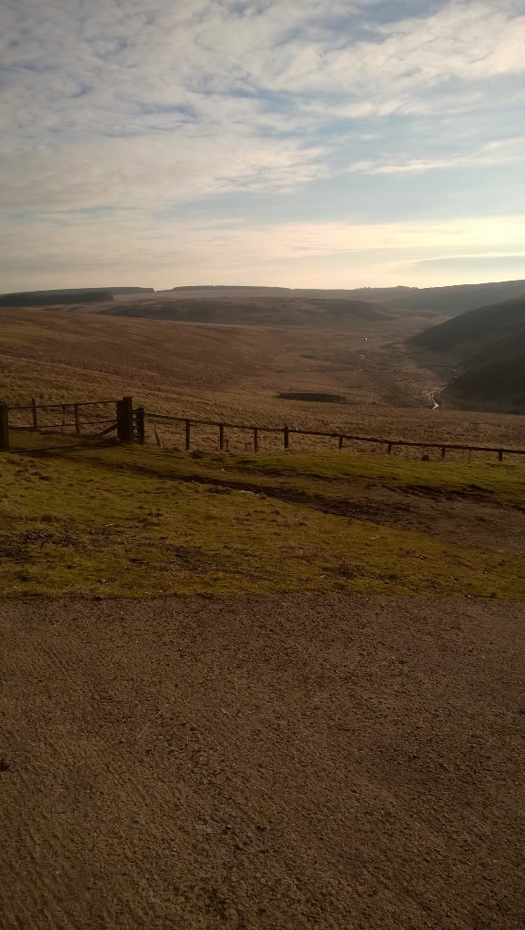 scotlandgundogs's tweet image. Today office #gundogtraining #springmaybe