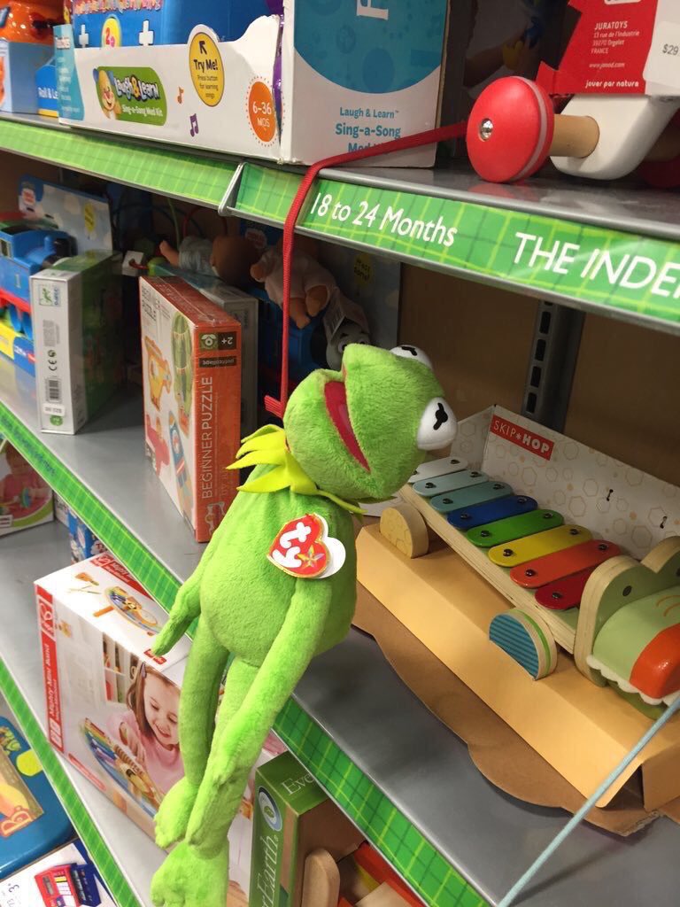 Who the fuck hung my ass in the Walmart kid section smh