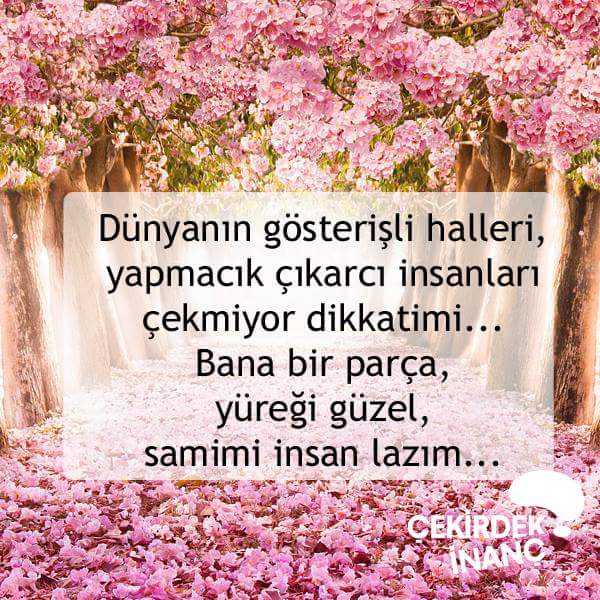 Berna Şendal (@sendalberna) on Twitter photo 