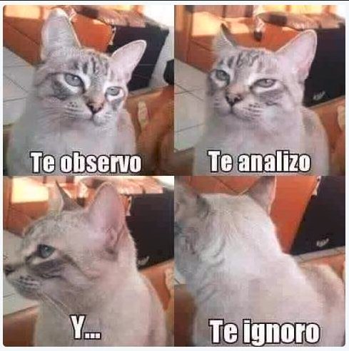 Guazo❁ (@jokerguazo) on Twitter photo 