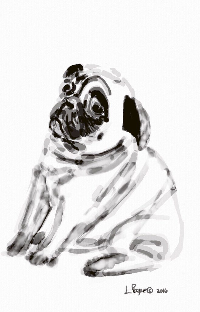 AurynInk's tweet photo. lunoday:

Sweet little Pug

iPhone 

Aurynink

Love it! thanks for sharing! https://t.co/C5oMtPmIGQ
