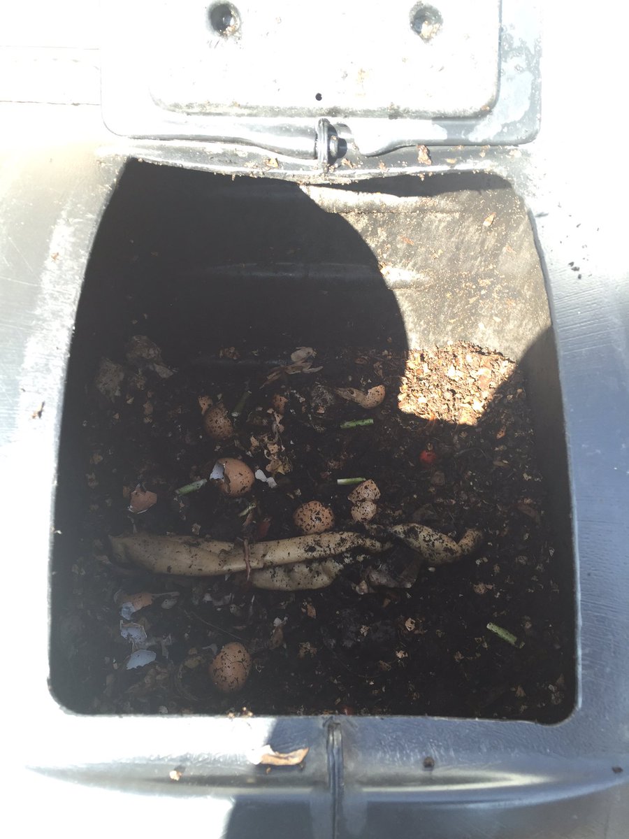 greencolumbus's tweet photo. #compost loving this sun &amp; warmer temps in February https://t.co/pNWFBdbV45
