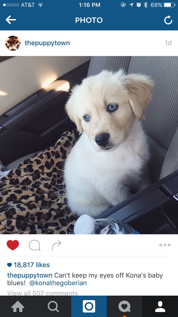 When Kona is Insta-famous😳😂