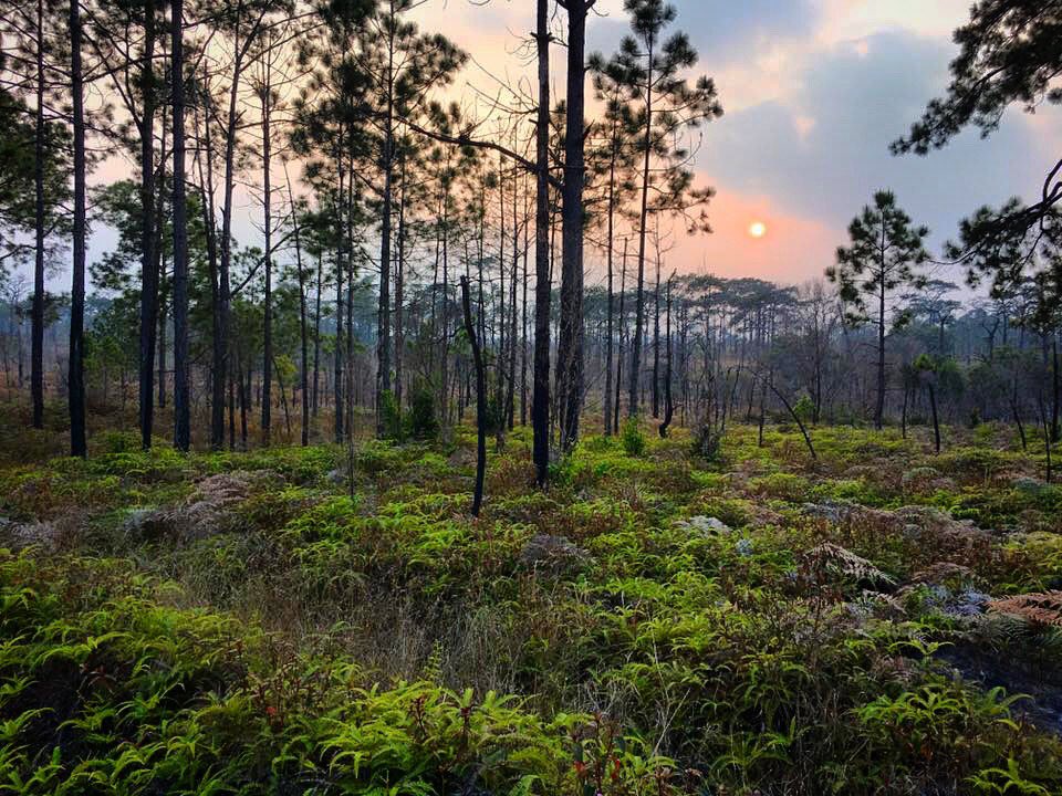 Check out more photos from <a href="/aaron_pomerance/">Aaron Pomerance</a>'s backpacking adventures in Thailand on Alpenclimb.com