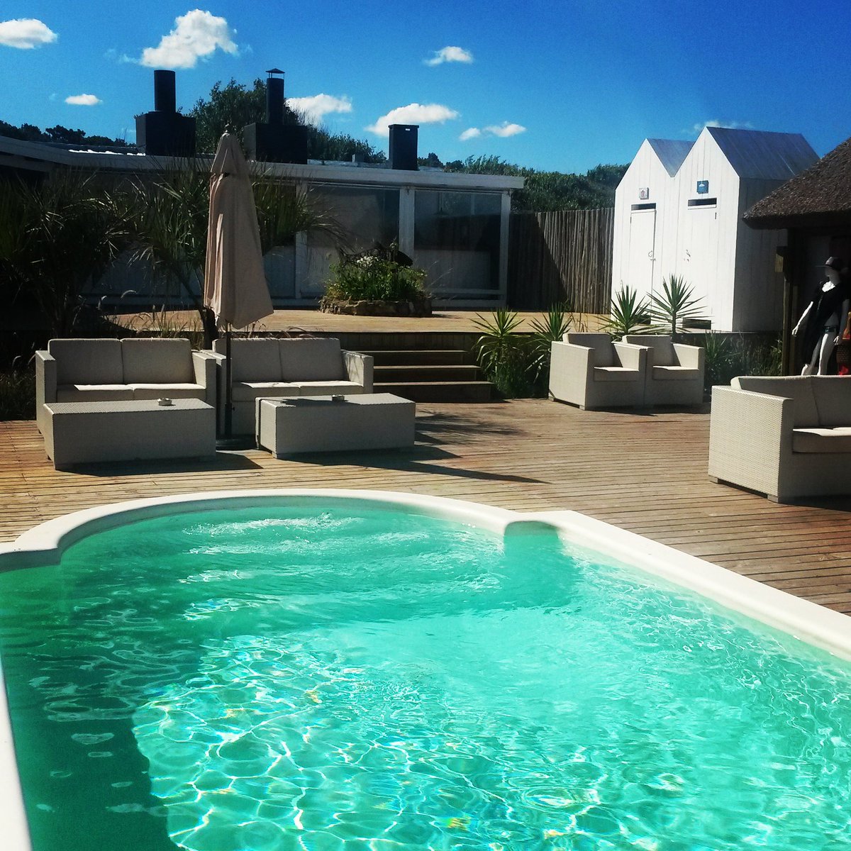 Bagatelle PDE tweet media