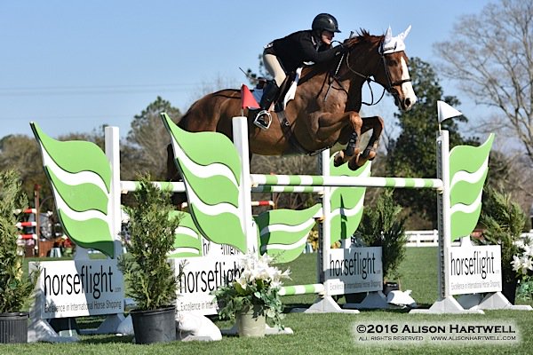 ClassicCompanyShows tweet media