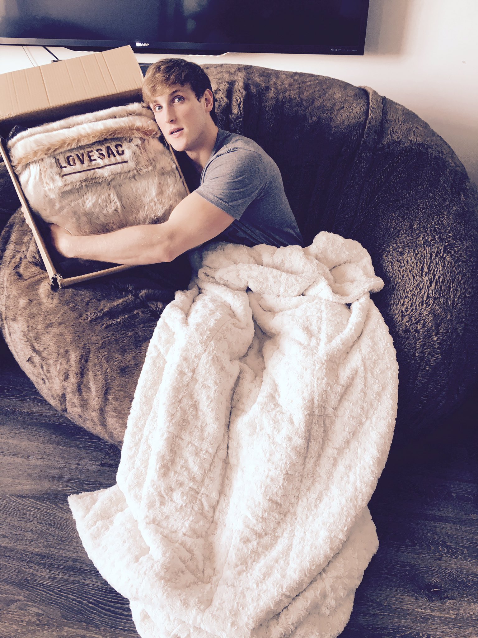 Logan Paul on Twitter "Yo Lovesac thanks for providing me with the