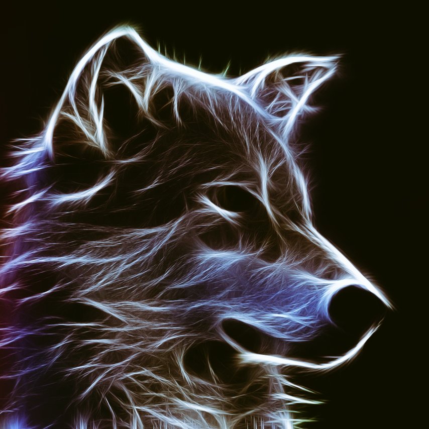 KCorcodel's tweet image. Still a majestic wolf