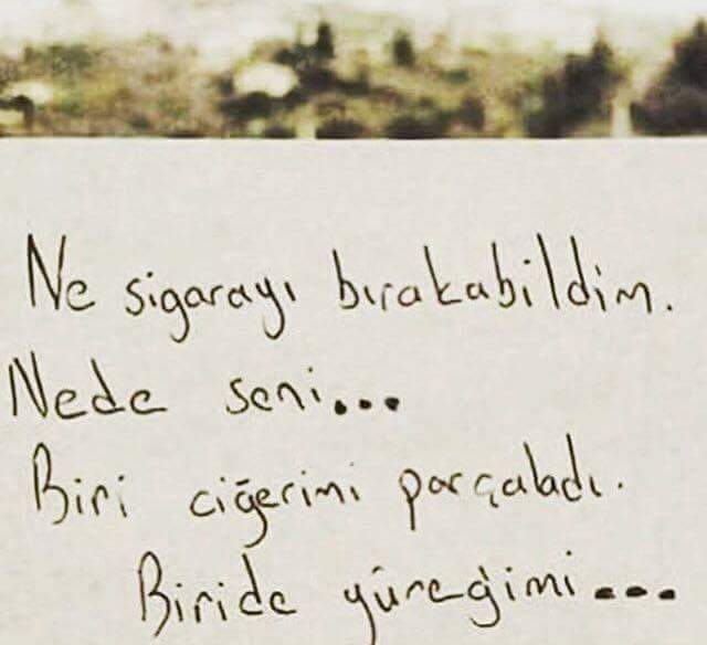 Gökhan Yılmaz (@gokhanylmz1991) on Twitter photo 