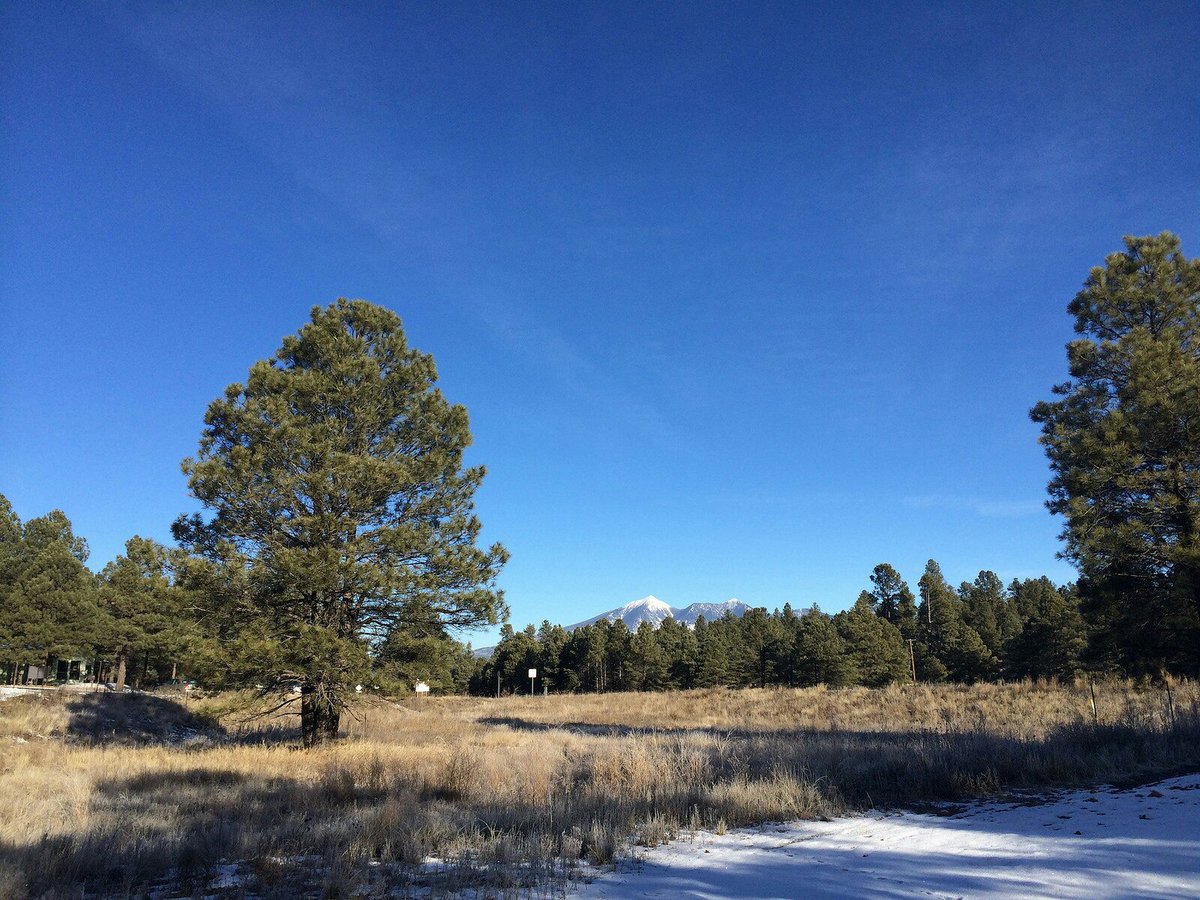 NAU's tweet photo. If you like to hit the trails, there's few places that beat Flagstaff: https://t.co/zvv6MuR3VM. #RunningClubs https://t.co/qR7lJe4llx