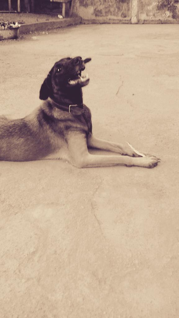 dayocode's tweet image. Hah apply birthday