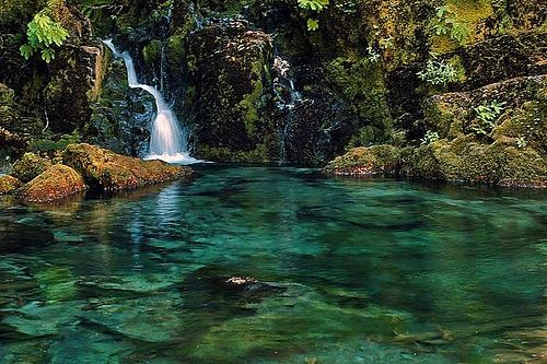 exploretheusa's tweet photo. Opal Creek Wilderness in the Willamette National Forest in Oregon #hiking #camping #wild https://t.co/7gwToUOtjx