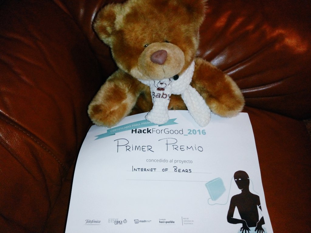 BearsInternet's tweet photo. Berry se va a dormir ya, que han sido días muy duros. Pero antes quiere daros las gracias una vez más #HackForGood https://t.co/OXSg0NGChE