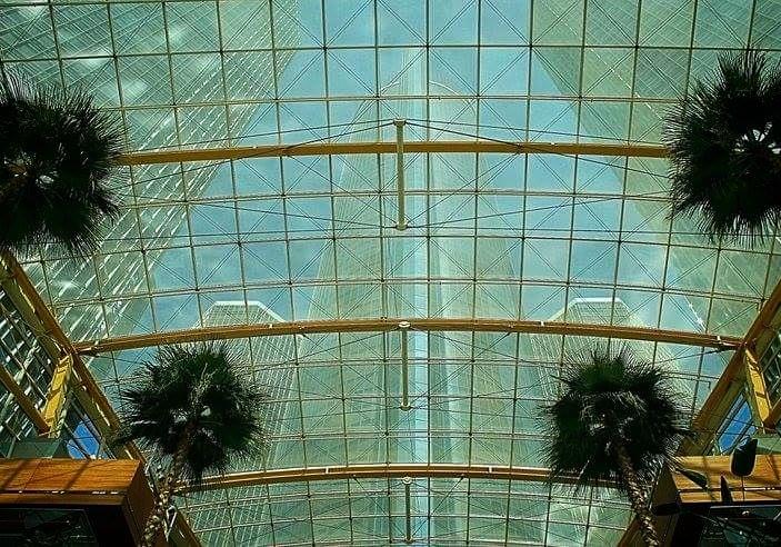 TCBodyShop's tweet image. It's cold in the D? Not at the RenCen. We have #palmtrees #samsung #detroit #tropical #marriott #SaturdayNight