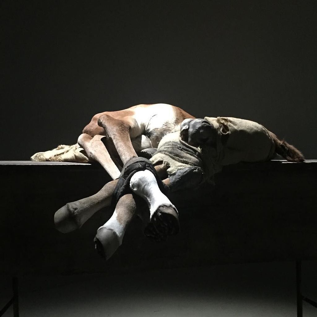 BruyckereOff's tweet photo. amazing piece of #berlindedebruyckere @hauserwirth https://t.co/Je8c3aehq4