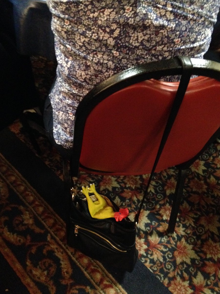 laurensnider310's tweet photo. Wow, these chickens  really like purses. @ICCchicks https://t.co/vpCMptfGmM
