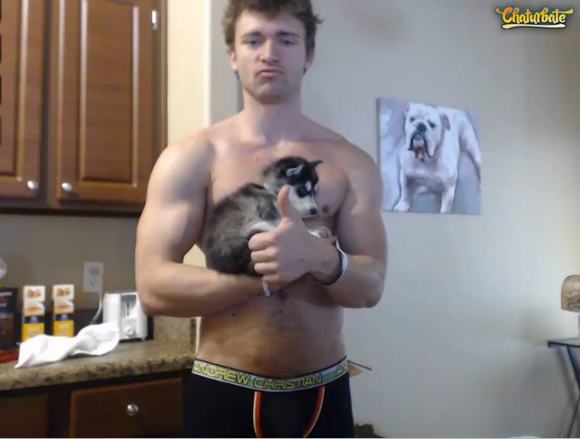 Meet @Jaden_Storm25 adorable new friend, Argent, a  Siberian Husky.. https://t.co/GMo51gZspR https://t<a class="tags" href="/tag/jaden_storm25">@jaden_storm25</a><a href="/tag/rt"class="tags"><span>#rt</span></a>